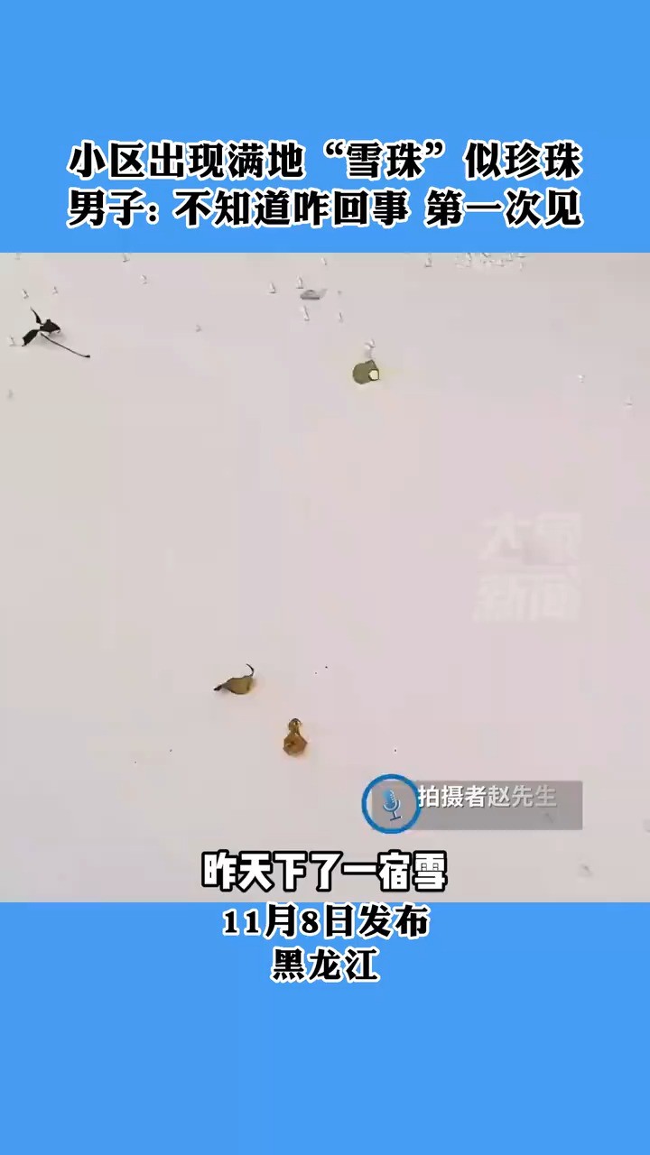 暴零大风过后小区出现满地“雪珠”似珍珠 男子 不知道咋回事 