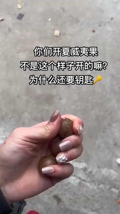 你们开夏威夷果 不是这个样子开的嘛?