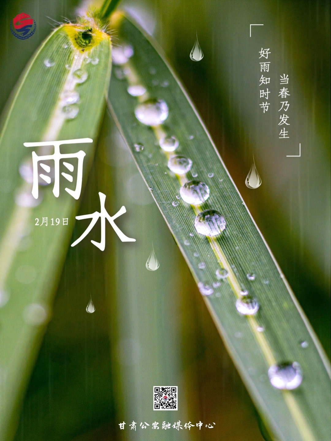 早安丨好雨知时节