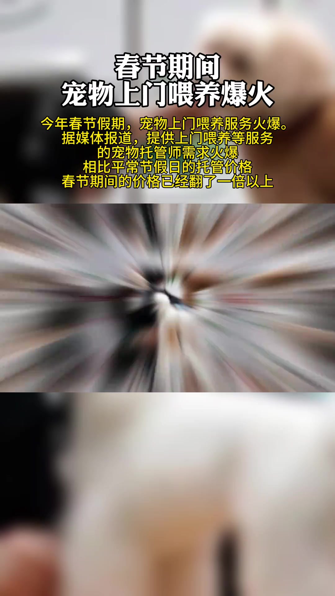 宠物“上门喂养”服务爆火