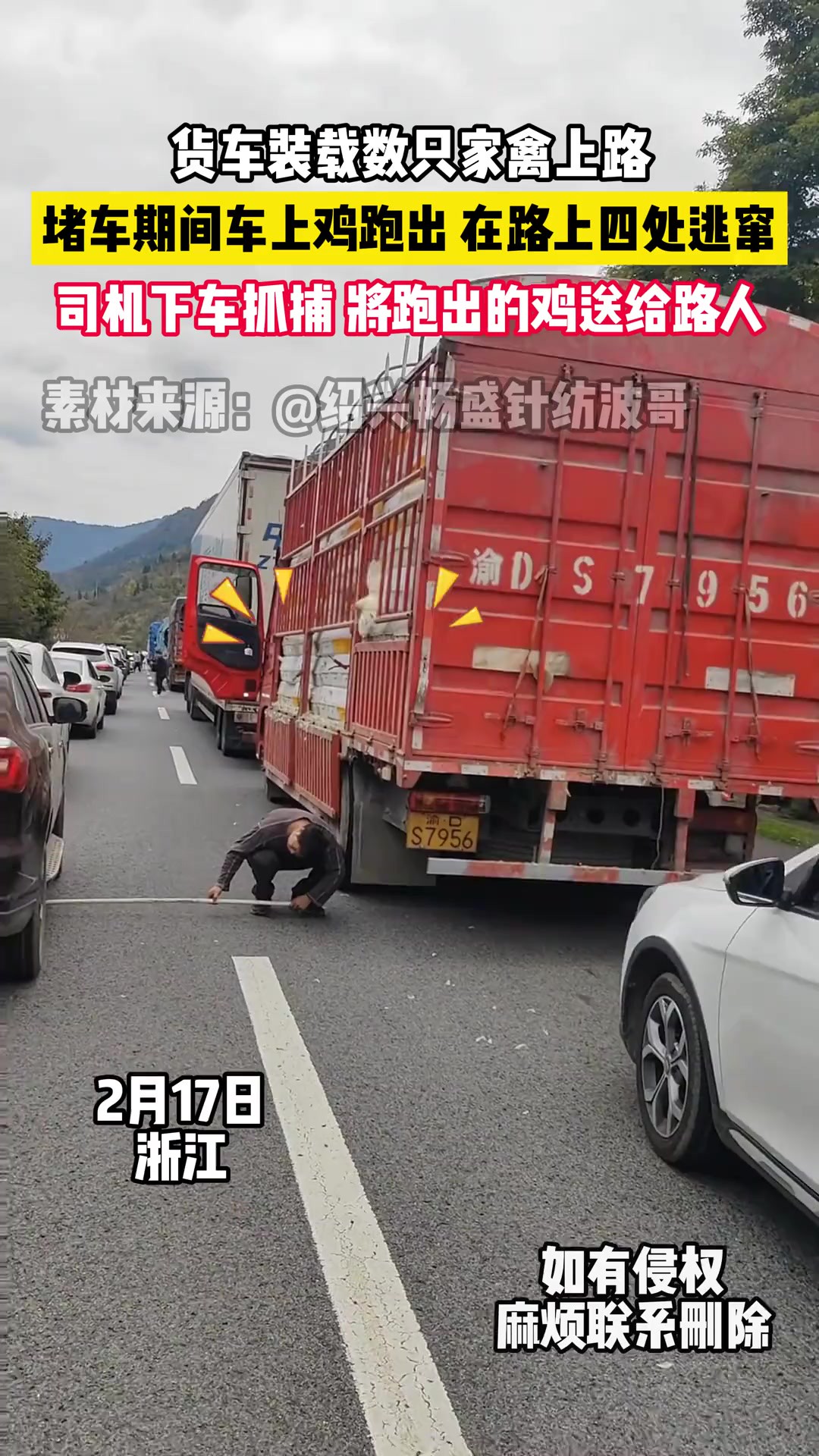 货车装载数只家禽上路(素材来源)