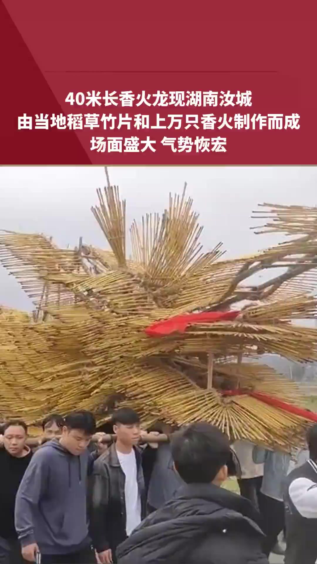 40米长香火龙现湖南汝城,由当地稻草竹片和上万只香火制作而成,场面盛大气势恢宏.素材来源: