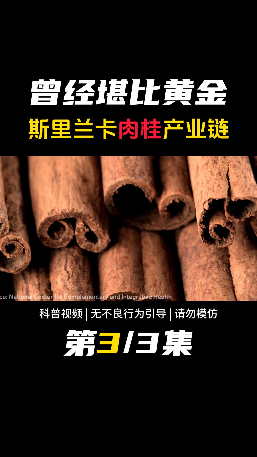 曾经堪比黄金,斯里兰卡锡兰肉桂产业链揭秘,它跟桂皮有什么区别 #肉桂 #桂皮 #肉桂卷