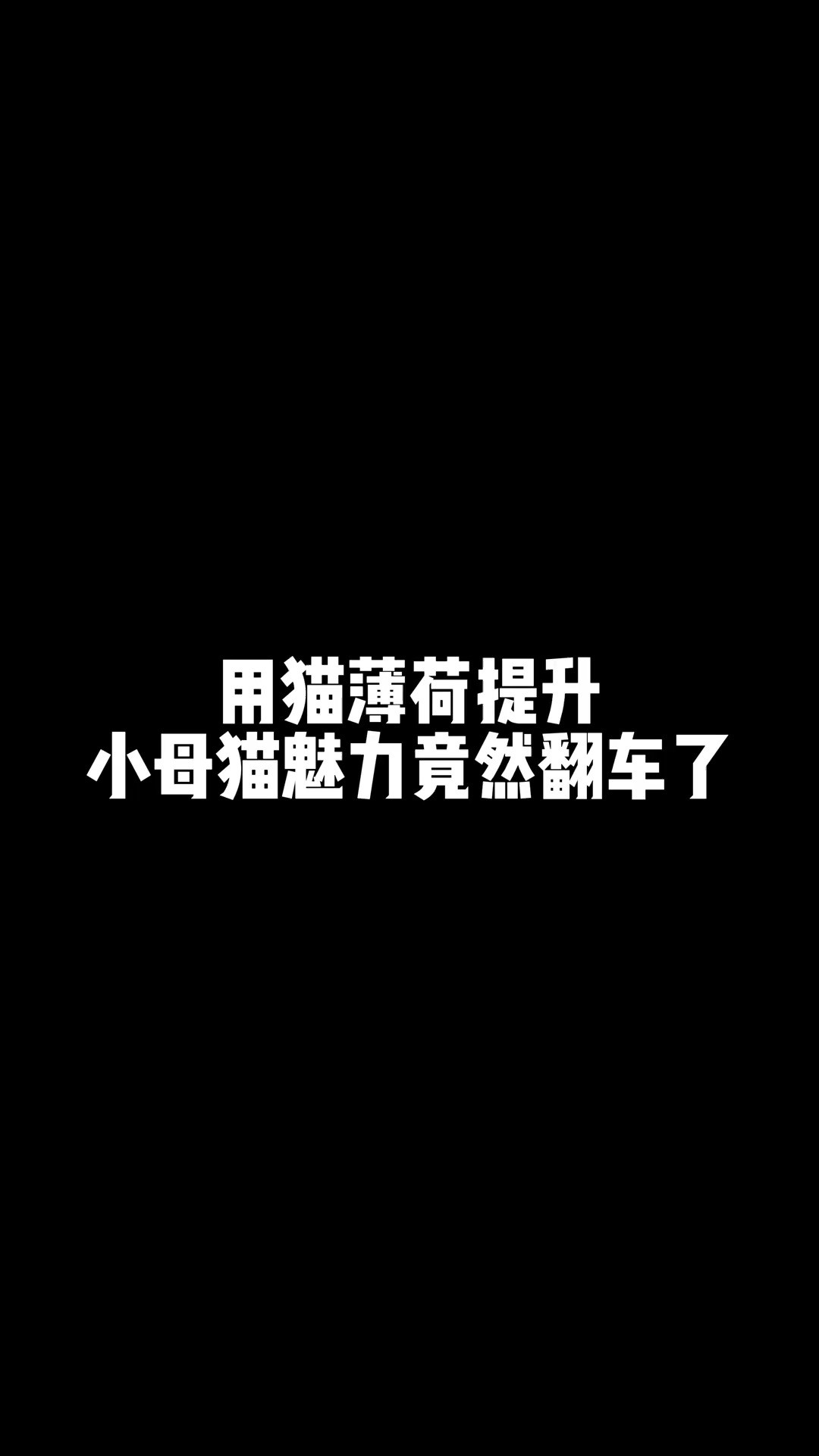 原来他们不管嫌弃它,还有我生鲜实力派大胆放心嗑伯纳天纯生鲜super好物畅买不打烊伯纳天纯