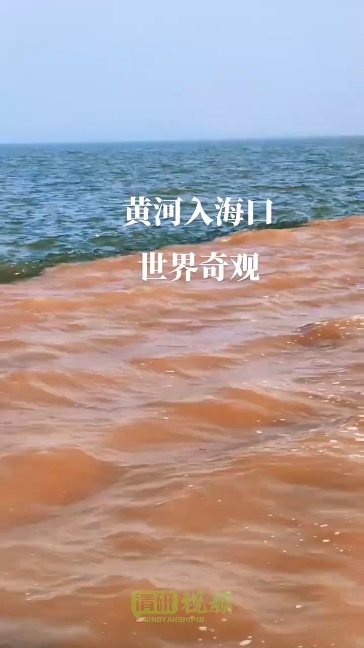 黄河入海口世界奇观