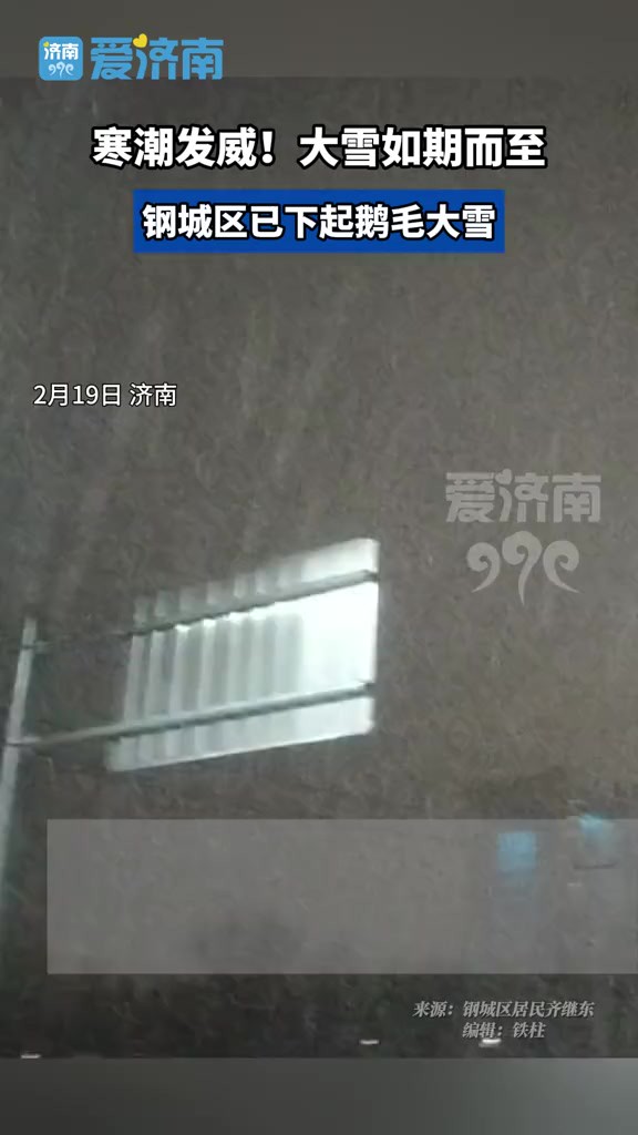 寒潮发威!大雪如期而至!钢城区已经下起鹅毛大雪!