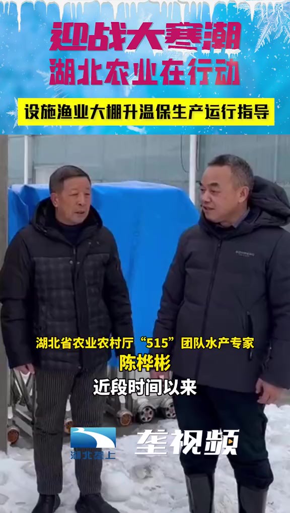 迎战大寒潮,湖北农业在行动,设施渔业大棚升温保生产运行指导