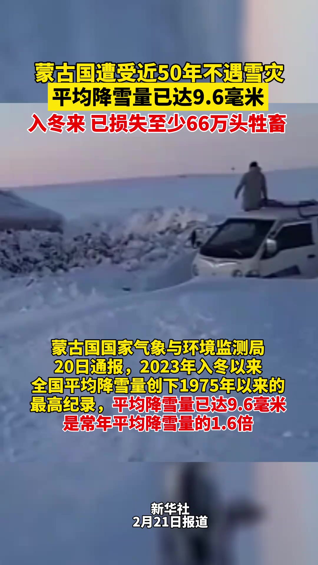 蒙古国遭受近50年不遇雪灾,平均降雪量已达9.6毫米!人冬来已损失至少66万头牲畜!