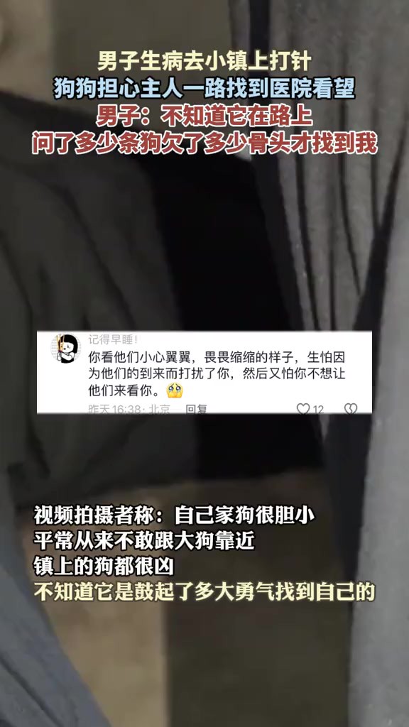 男子:它很胆小,不知道它是鼓起了多大勇气找到我的(感谢提供视频素材)