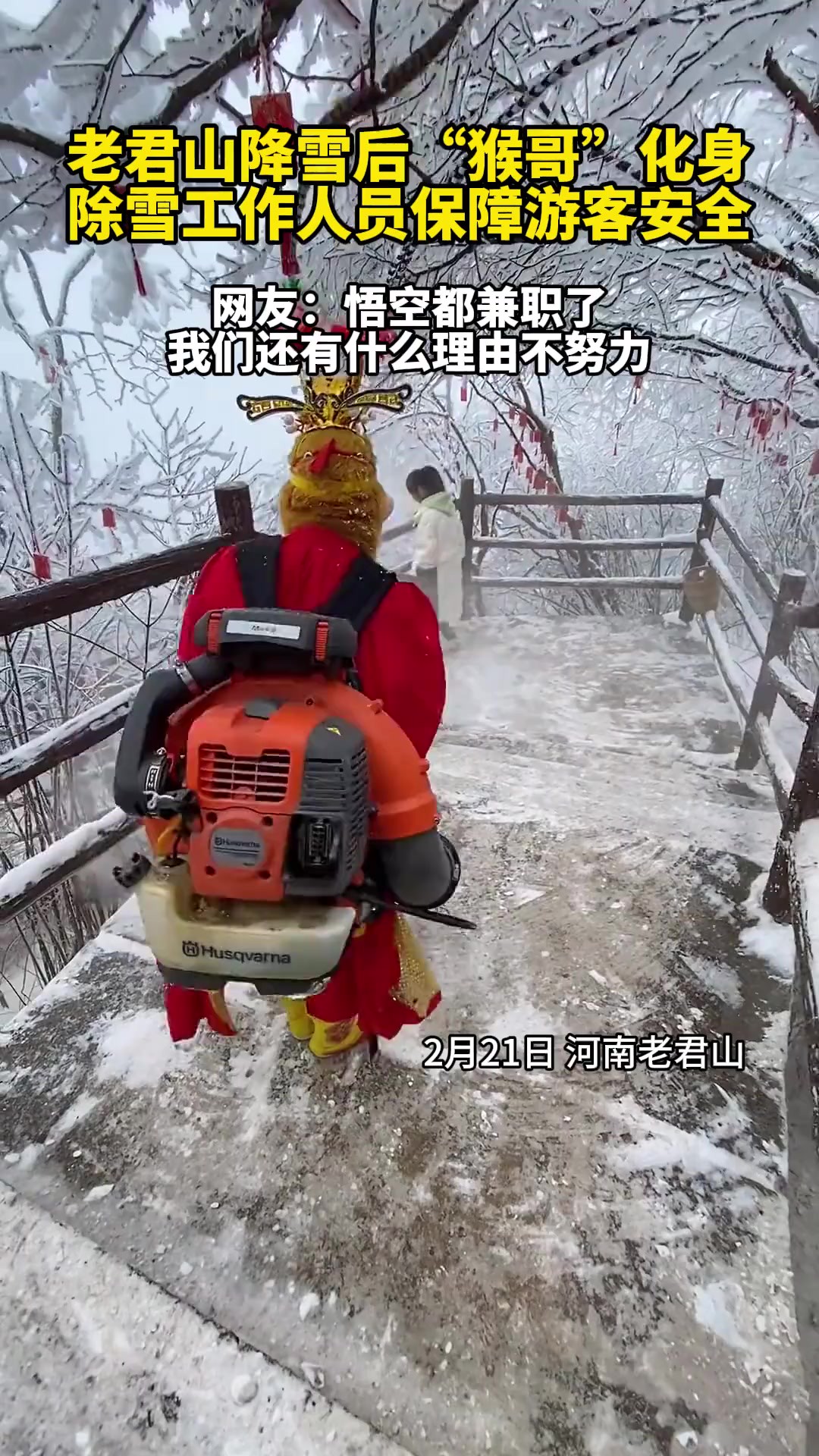 老君山降雪后“猴哥”化身除雪工作人员保障游客安全(感谢提供素材)