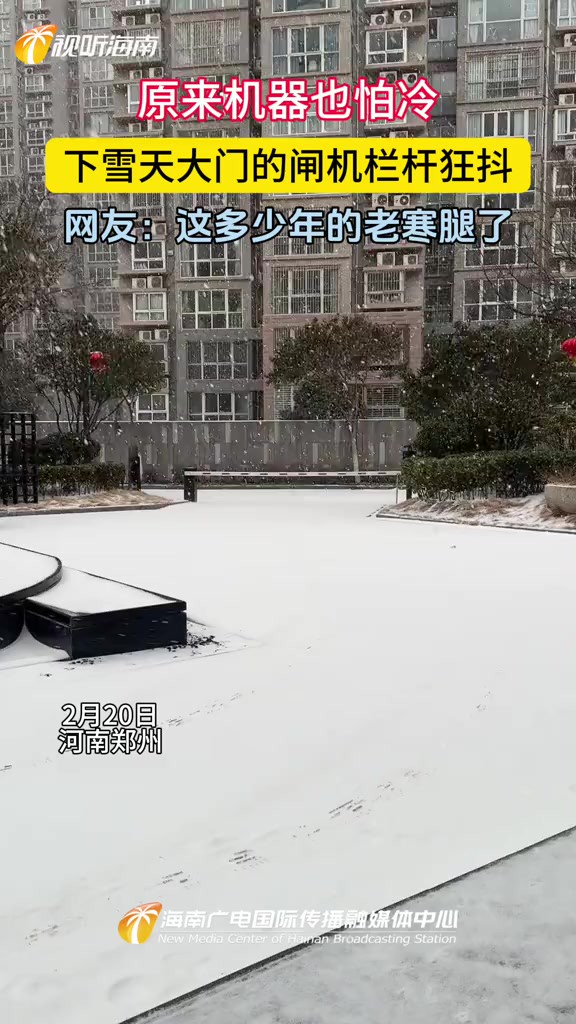 原来机器也怕泠 下雪天大门的闸机栏杆狂抖