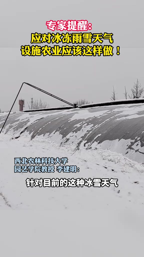 专家提醒:应对冰冻雨雪天气设施农业应该这样做!