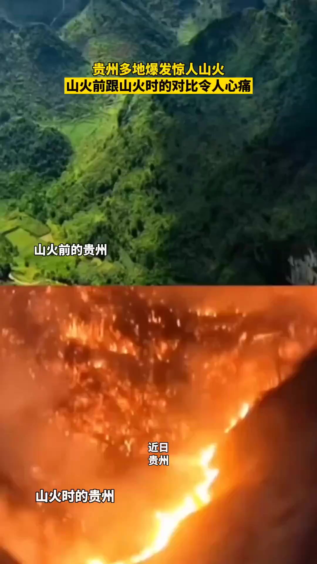 前几日,贵州多地爆发山火,山火前跟山火时的对比令人心痛!来源: