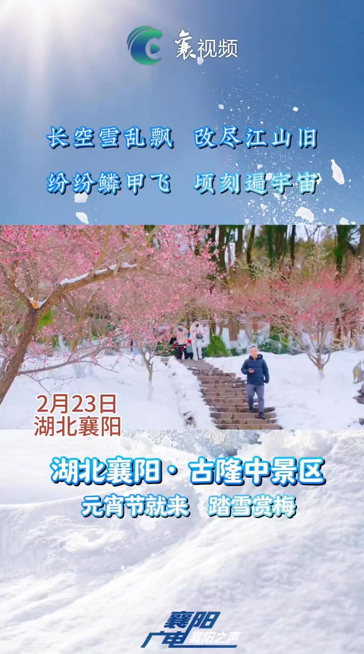 古隆中踏雪寻梅(记者:王春霞,通讯员:杜龙威)