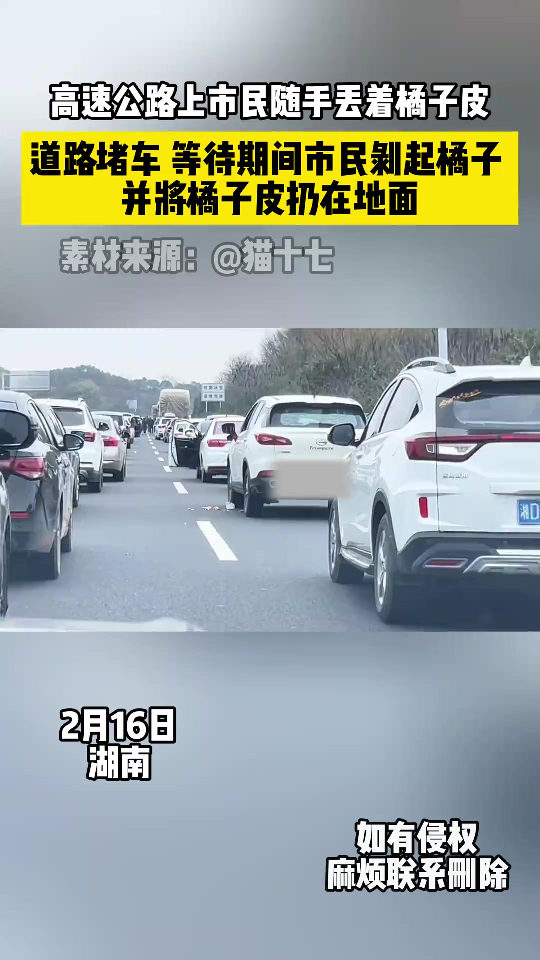 高速公路上市民随手丢着橘子皮(素材来源)