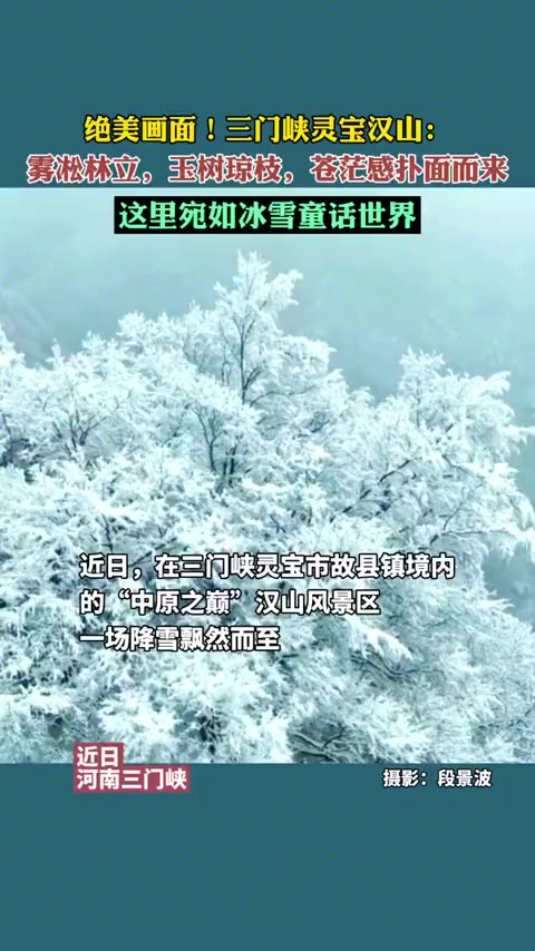 绝美画面!三门峡灵宝汉山:雾凇林立,玉树琼枝,苍茫感扑面而来