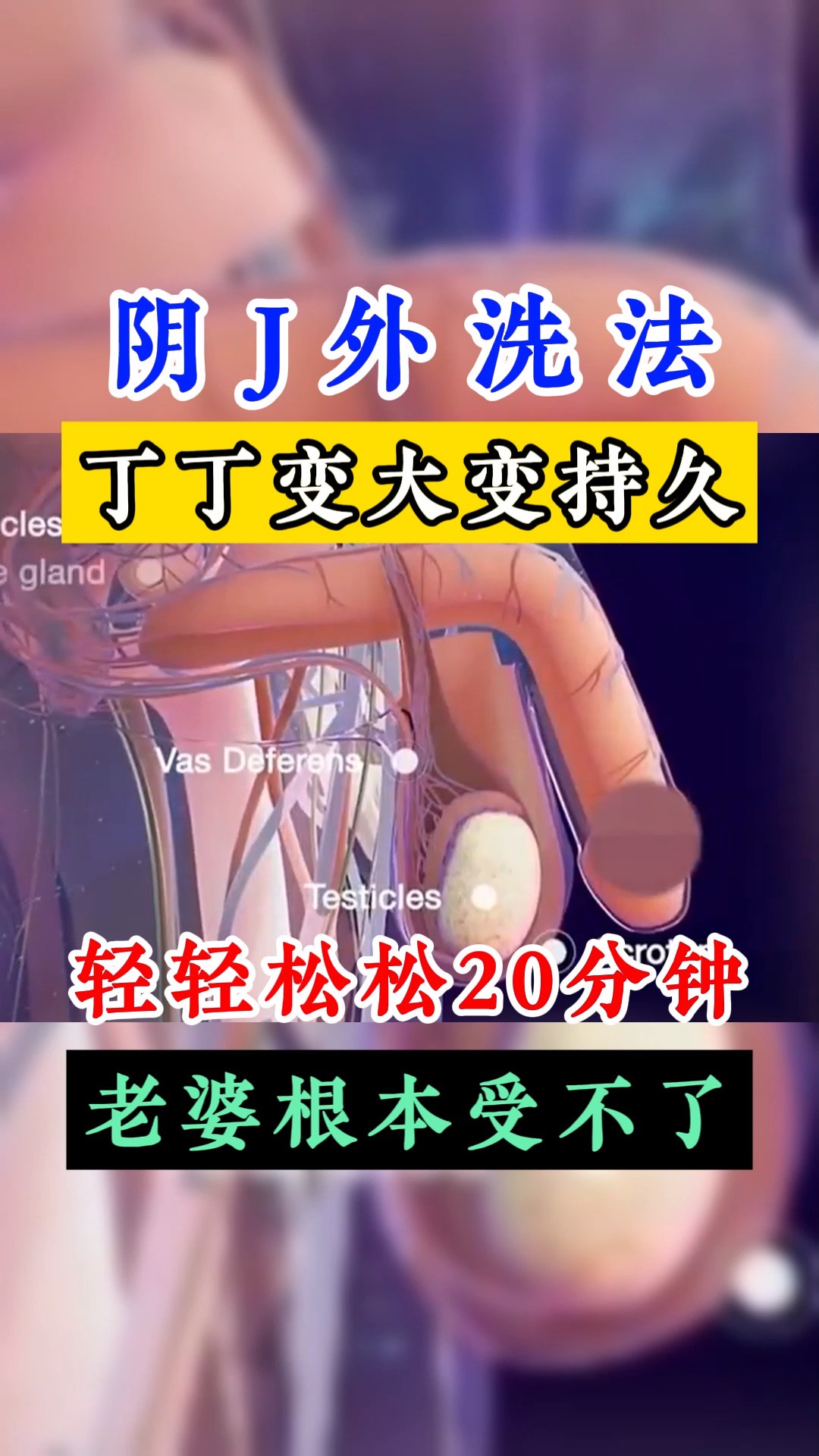 变大变持久,轻轻松松20分钟#涨知识 #阳痿早泄 #男人时间短 #中医 #男性健康 #科普 