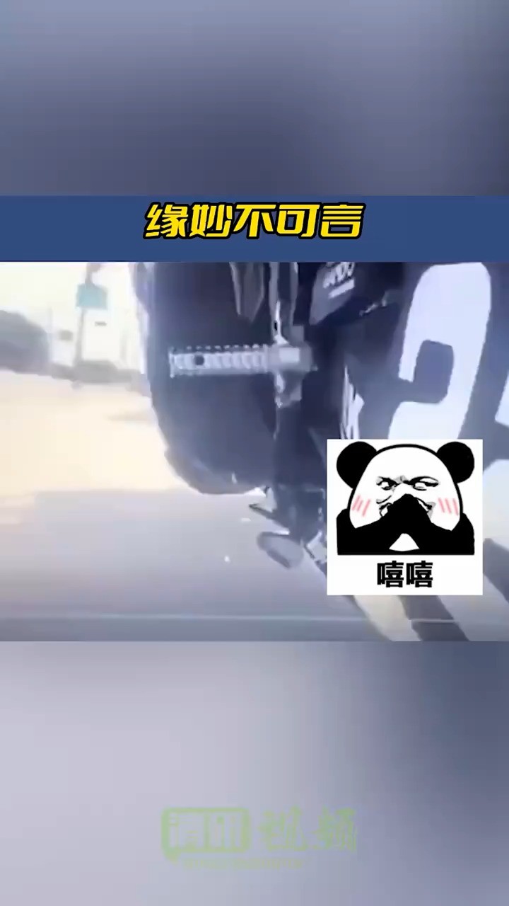 缘妙不可言