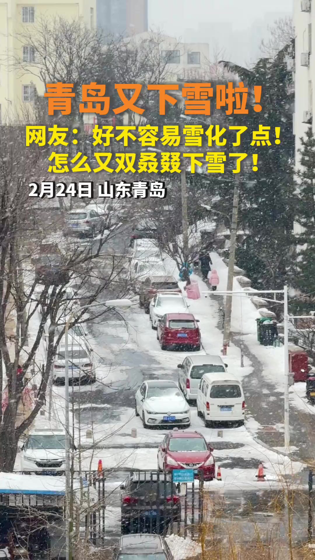 青岛又下雪啦!网友:好不容易雪化了点!怎么又双叒叕下雪了!(半岛全媒体记者邹昊辰)