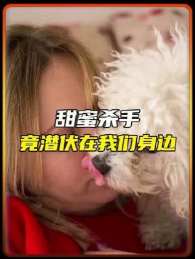 他只是被狗舔了一下就这样了