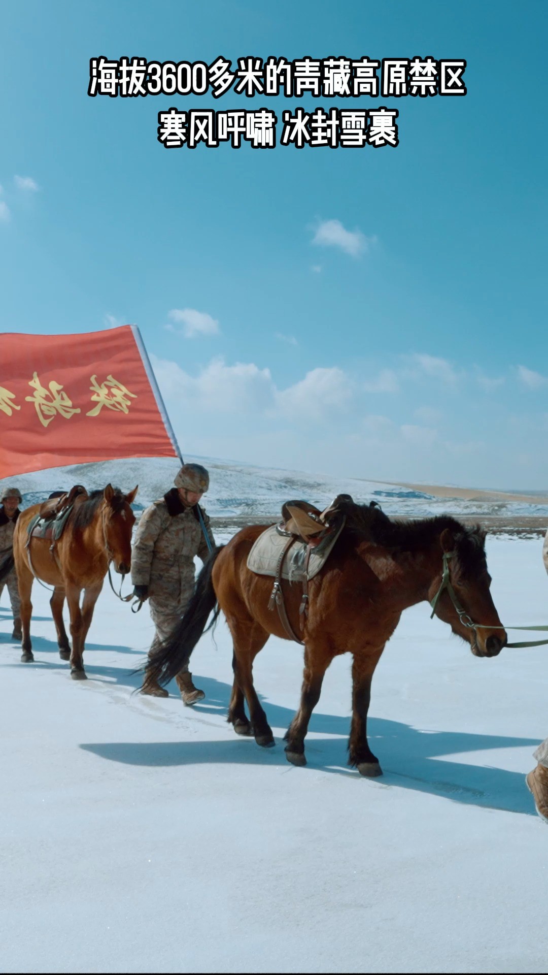 海拔3600多米的青藏高原禁区,寒风呼啸,冰封雪裹....