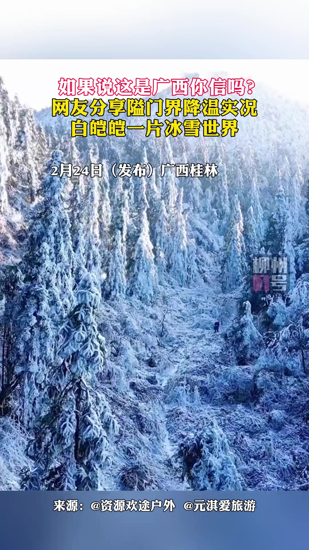 如果说这是广西你信吗?网友分享隘门界降温实况,白皑皑一片冰雪世界?(视频来源:)