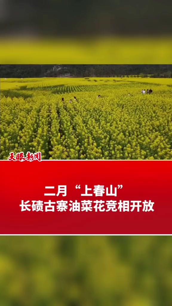 二月“上春山” 长碛古寨油菜花竞相开放(来源:凤冈县融媒体中 拍摄:谢明铭 安应 记者制作:杨舒丞 编辑:高航)