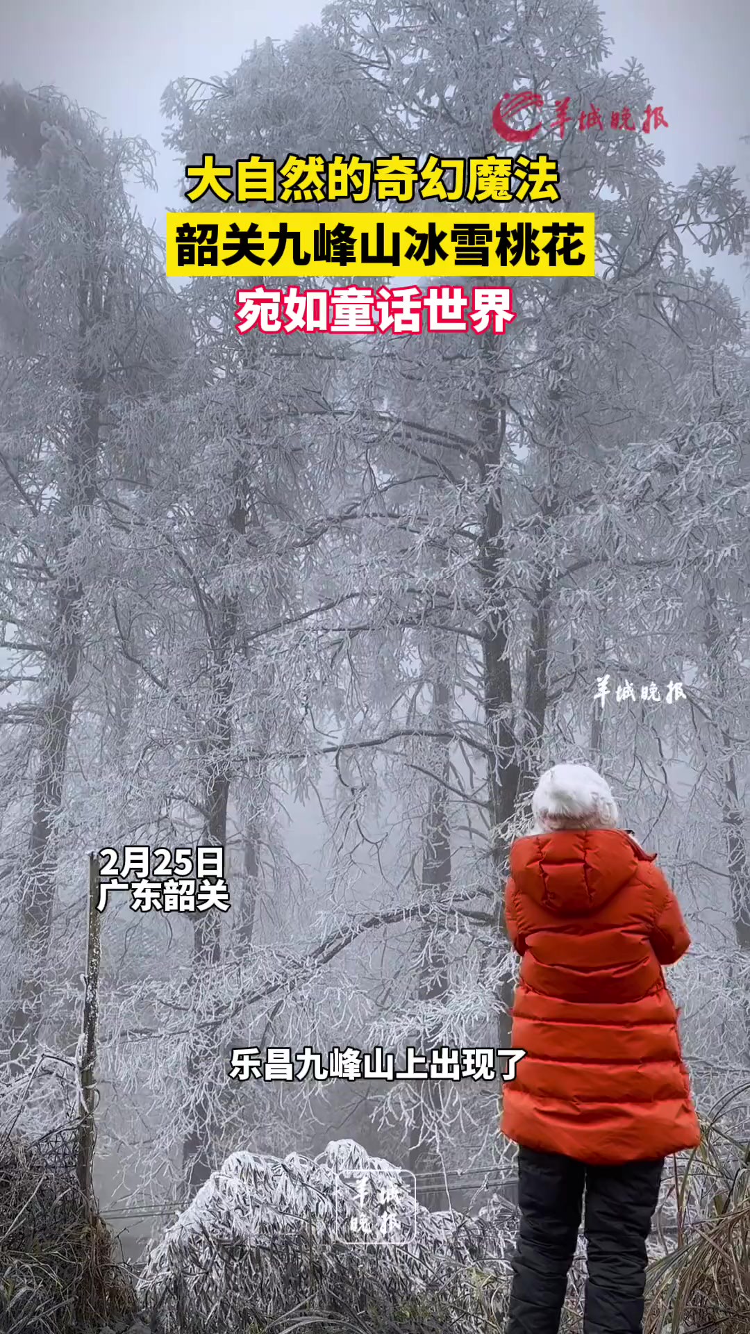 大自然的奇幻魔法,韶关九峰山冰雪桃花宛如童话世界.来源