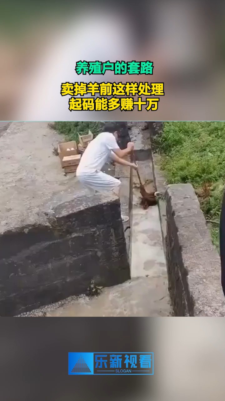 养殖户的套路,卖掉羊前这样处理,起码能多赚十万