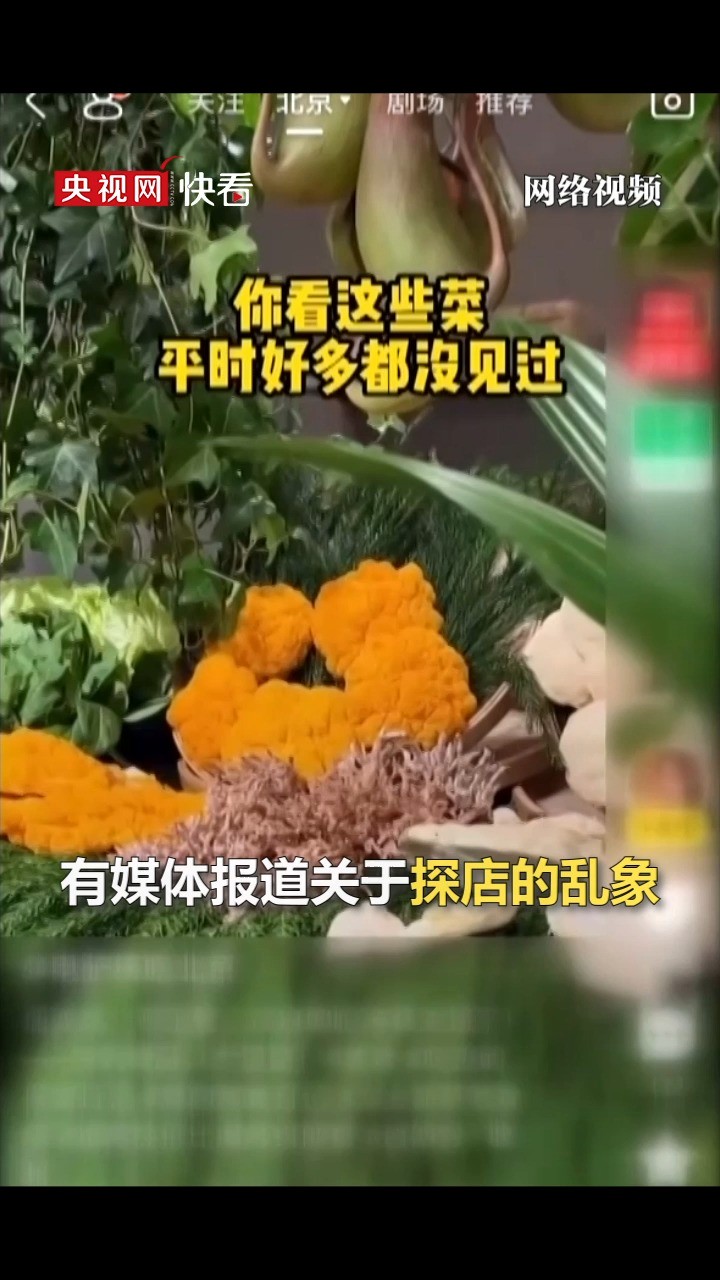 “网红探店”视频让人踩坑 检察官:故意混淆兴趣分享与商业属性的“探店”行为可能涉嫌违法(法治在线)