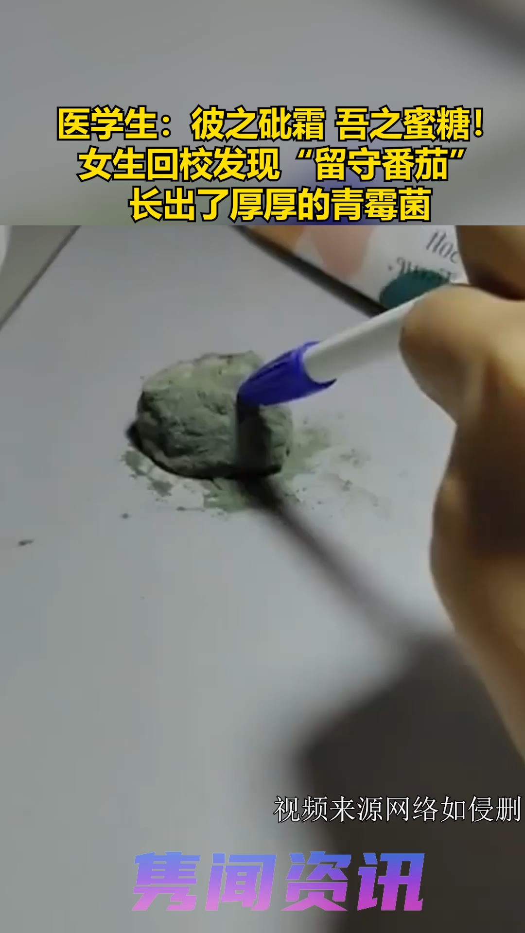 马鞍山一大学生回校后发现桌上的番茄长出了厚厚的霉菌,再阵阵惊叹之后扔进了垃圾桶!这可是医学生梦寐以求的“青霉菌”啊!