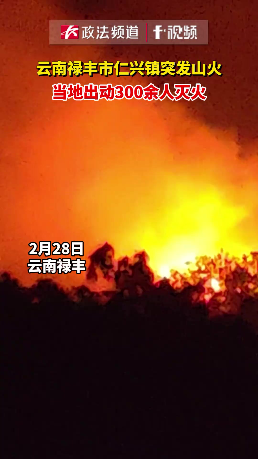 云南禄丰市仁兴镇突发山火,当地出动300余人灭火