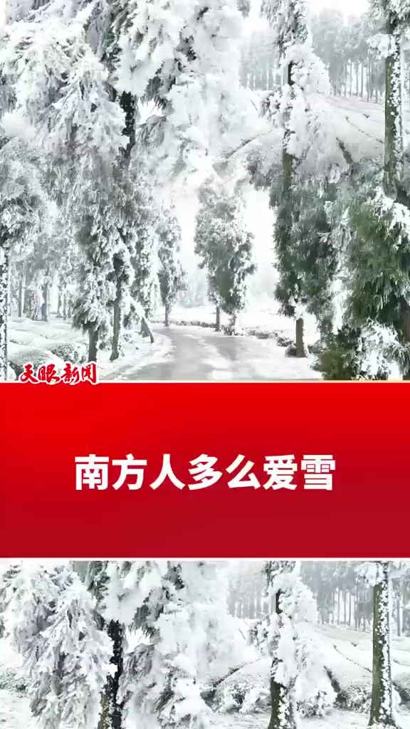 看看南方人多么爱雪! (记者制作:董桂 拍摄:陈卓)