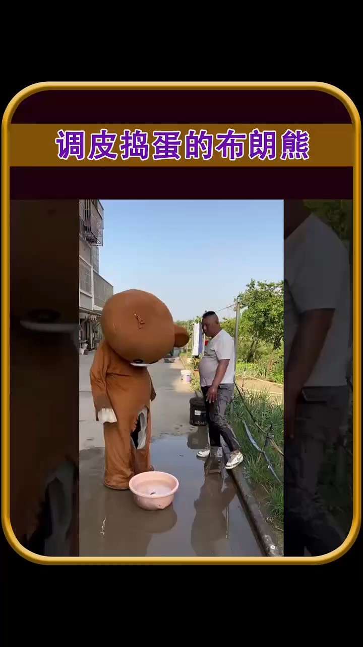 逗比布朗熊