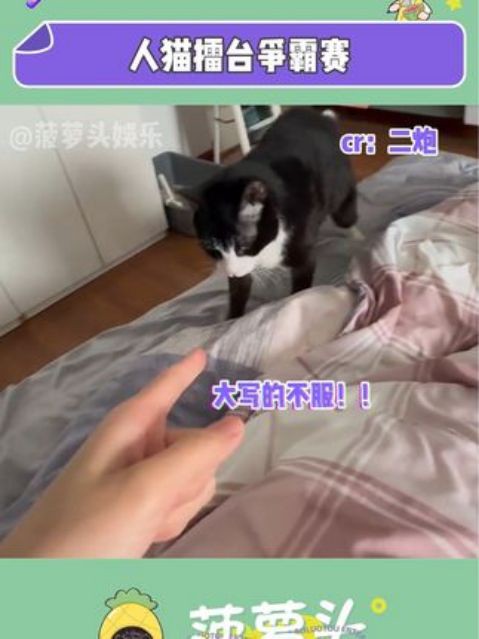 奶牛猫:这次让让你#娱乐评论大赏 #奶牛猫 #万万没想到 #搞笑