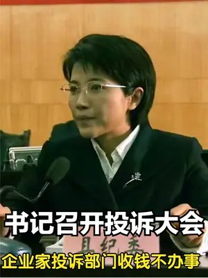 县委书记召开投诉大会,企业家纷纷投诉部门收钱不办事,书记知道愤怒整治!#好剧推荐官 