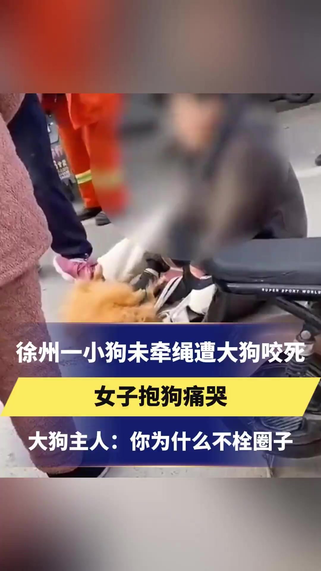 徐州一小狗未牵绳遭大狗咬死女子抱狗痛哭大狗主人:你为什么不栓圈子