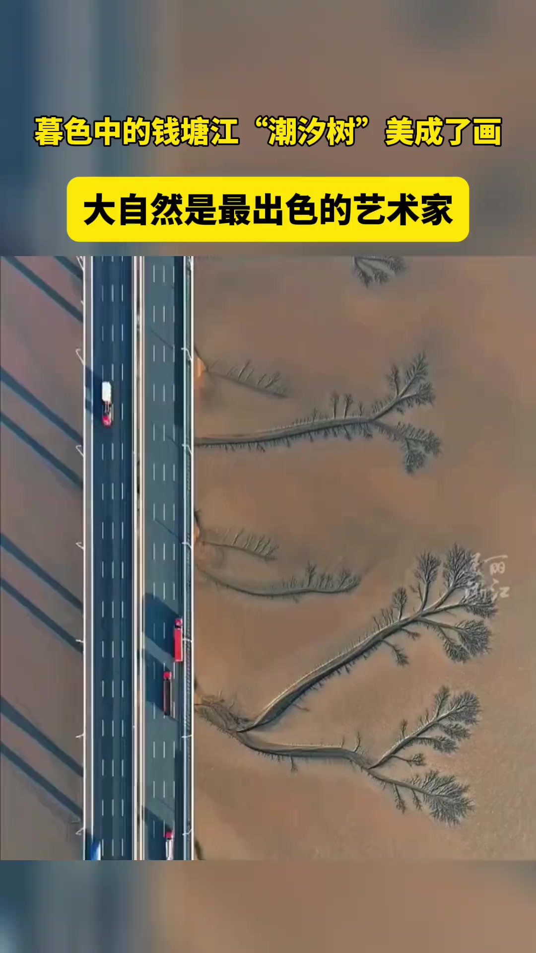 3月2日,摄影师用航拍画面记录下暮色里的浙江钱塘江“潮汐树”,光影斑驳,构成一幅震撼的鎏金画卷!(视频来源:视界)