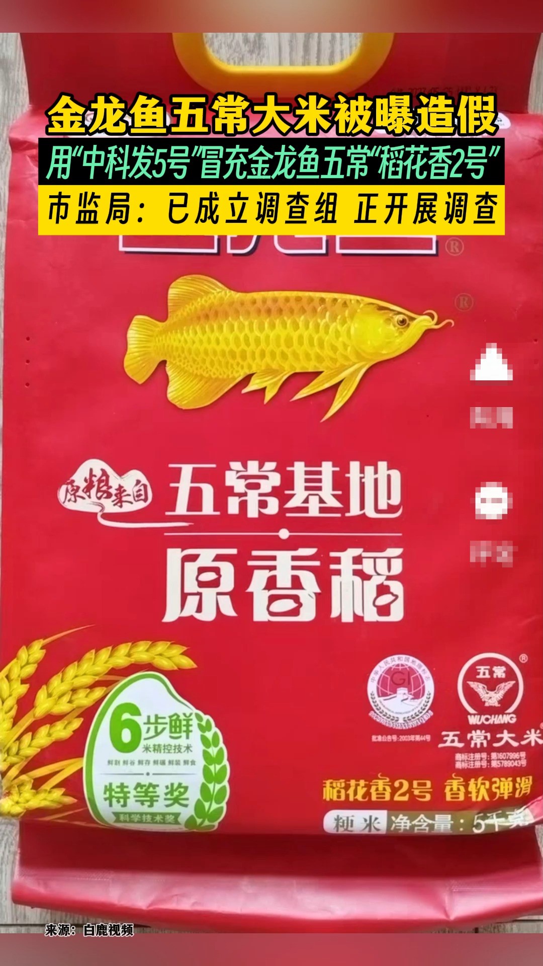 金龙鱼五常大米被曝造假,用“中科发5号”冒充金龙鱼五常“稻花香2号”.