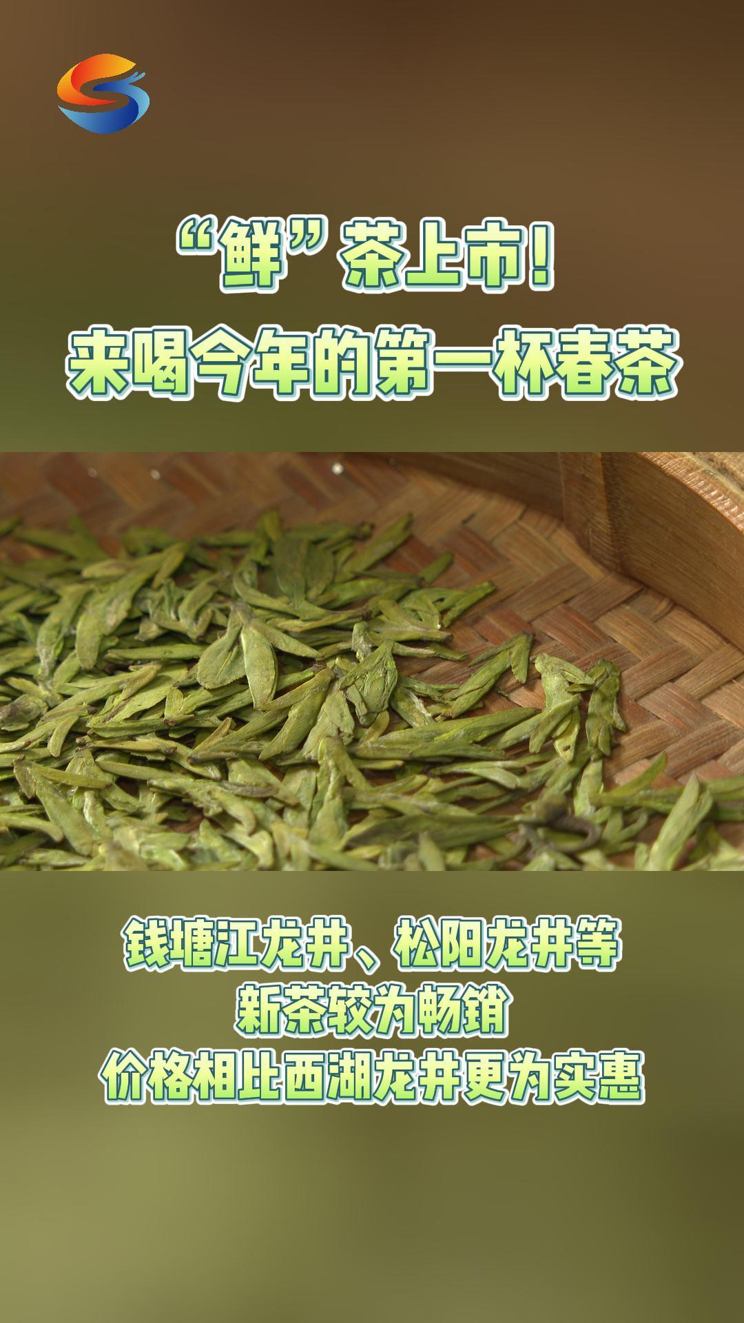 “鲜”茶上市!来喝今年的第一杯春茶#上海松江 