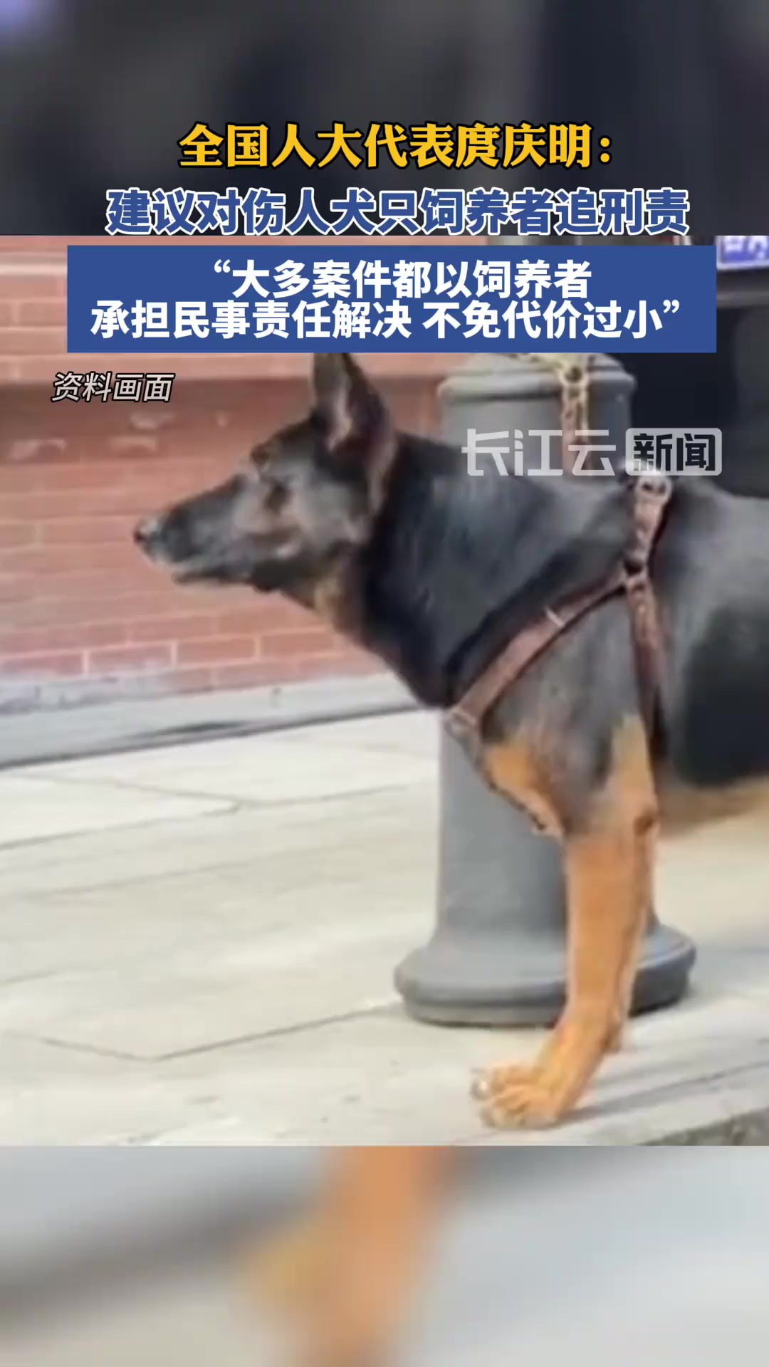 庹庆明代表:建议对伤人犬只饲养者追究刑责