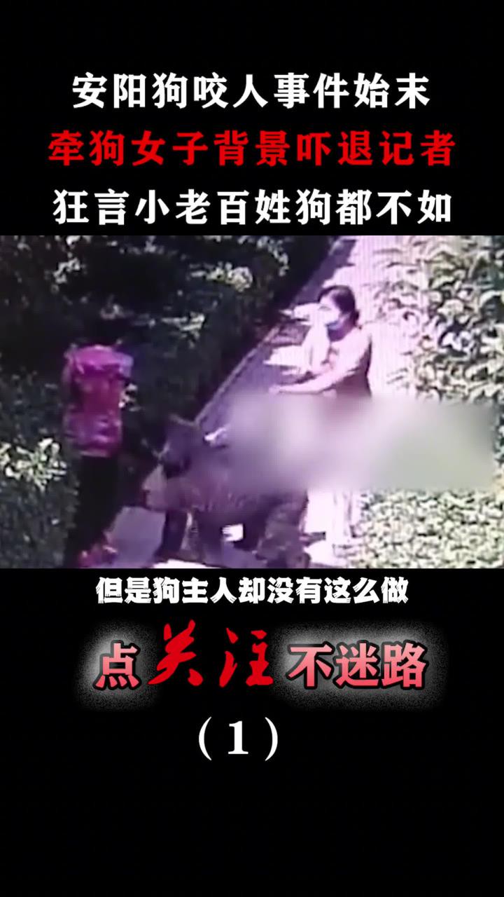 安阳狗咬人事件始末,牵狗女子涉嫌诈骗,面对记者态度嚣张!#安阳狗咬人 (1)