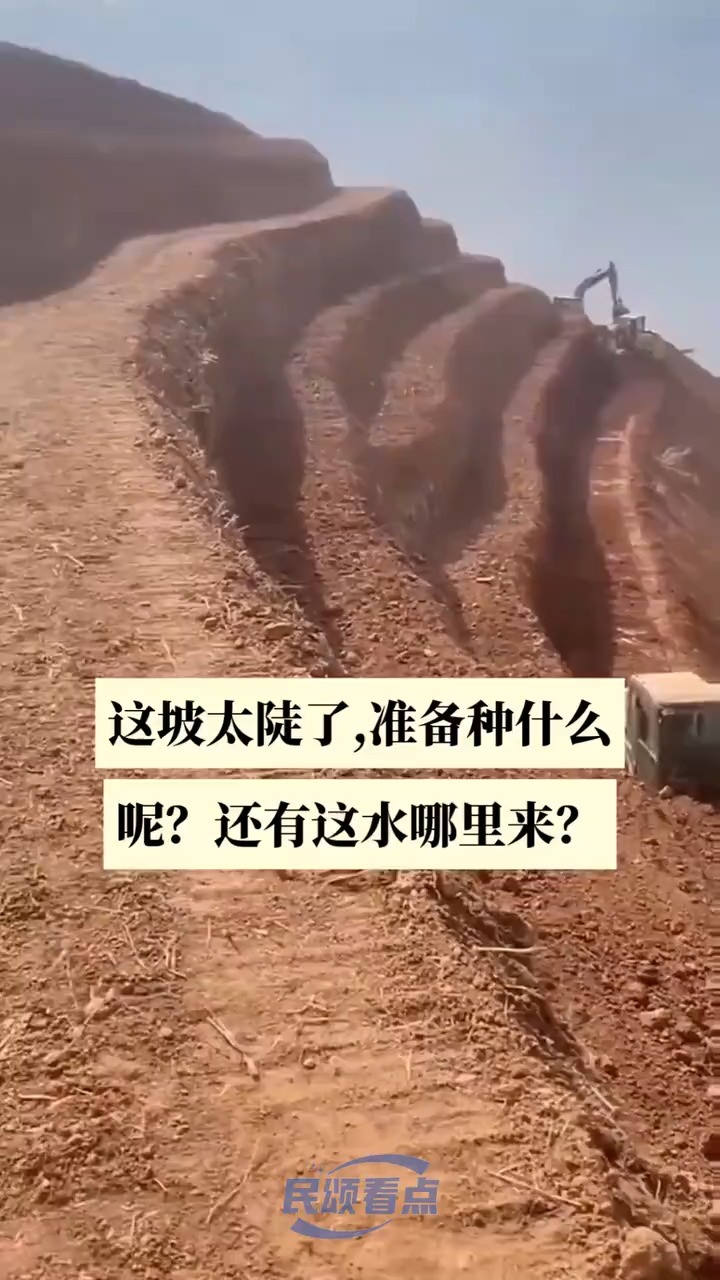 如此陡峭能种什么呢