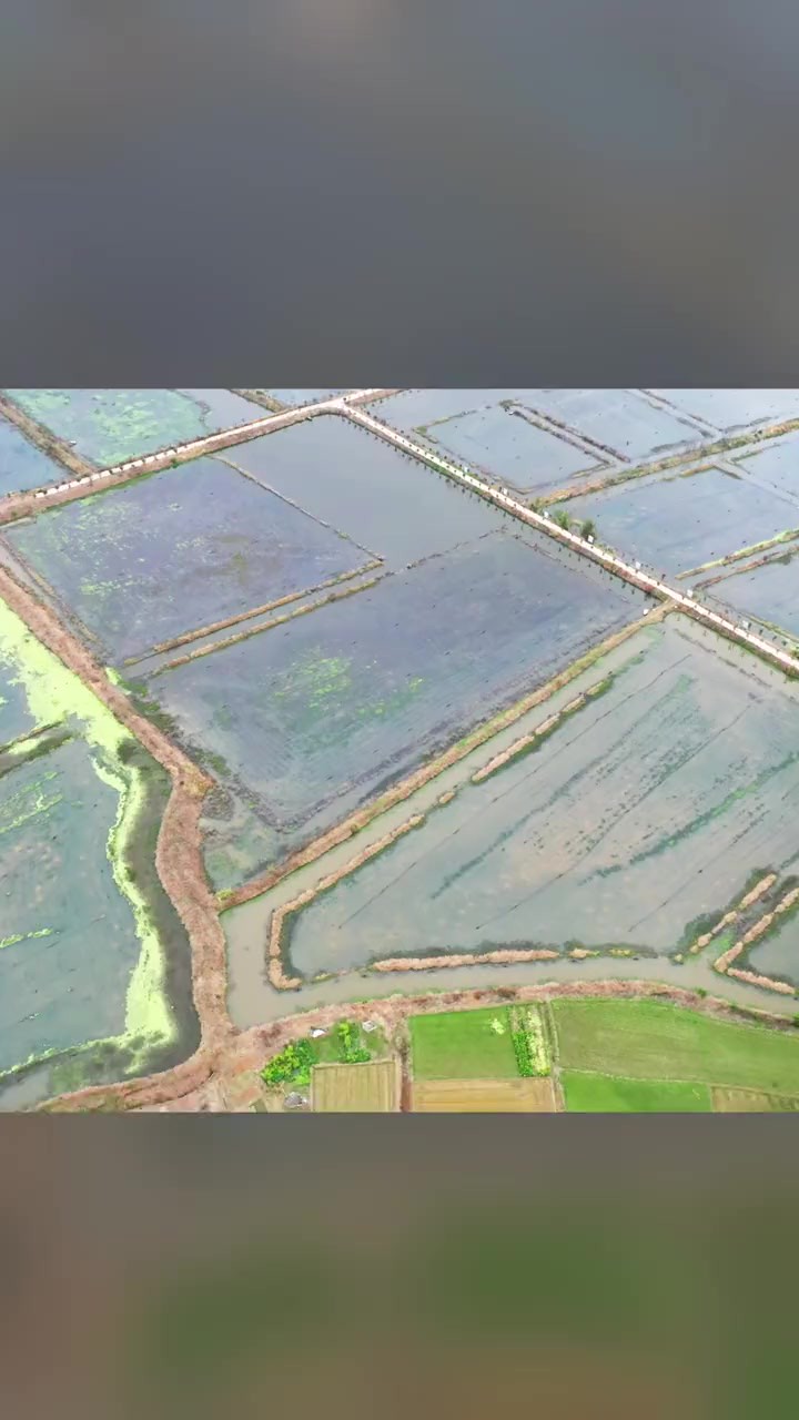 正是春管好时节,稻虾田里迎丰收.近日,大余县新城镇店孜里村稻虾共作种养基地喜获丰收. (出品大余县融媒体中心 拍摄 严杰 张治嘉 制作 廖超虹 王丽)