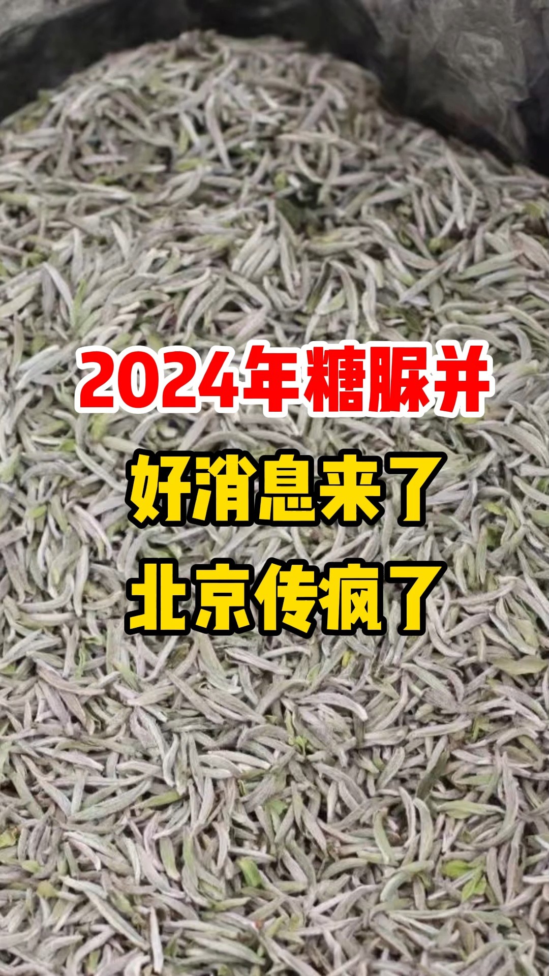 2024年糖脲并好消息来了北京传疯了##糖尿病# 