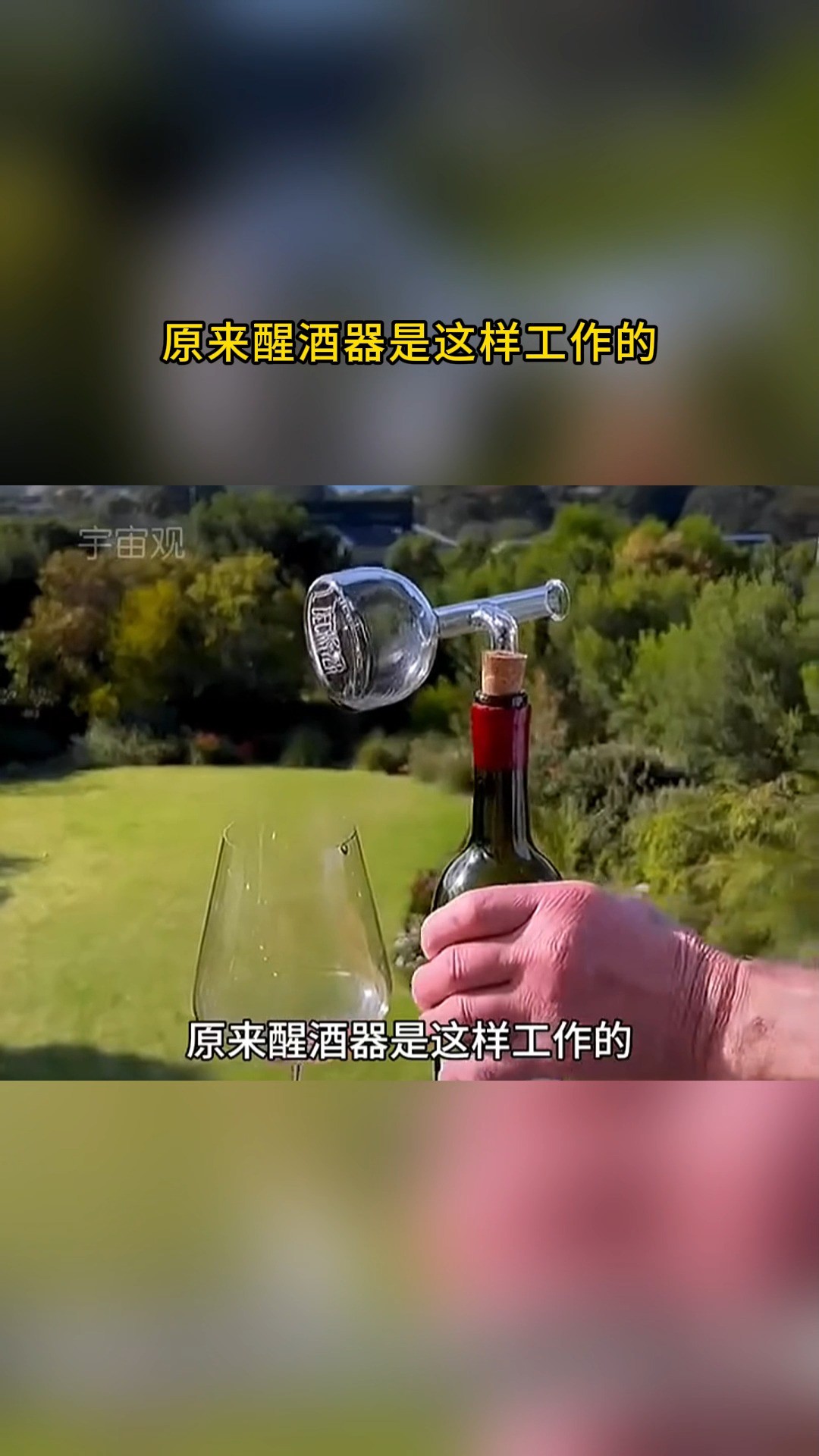 原来醒酒器是这样工作的