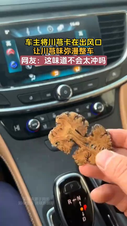 车主将川芎卡在出风口,让川芎味弥漫整车,网友:这味道不会太冲