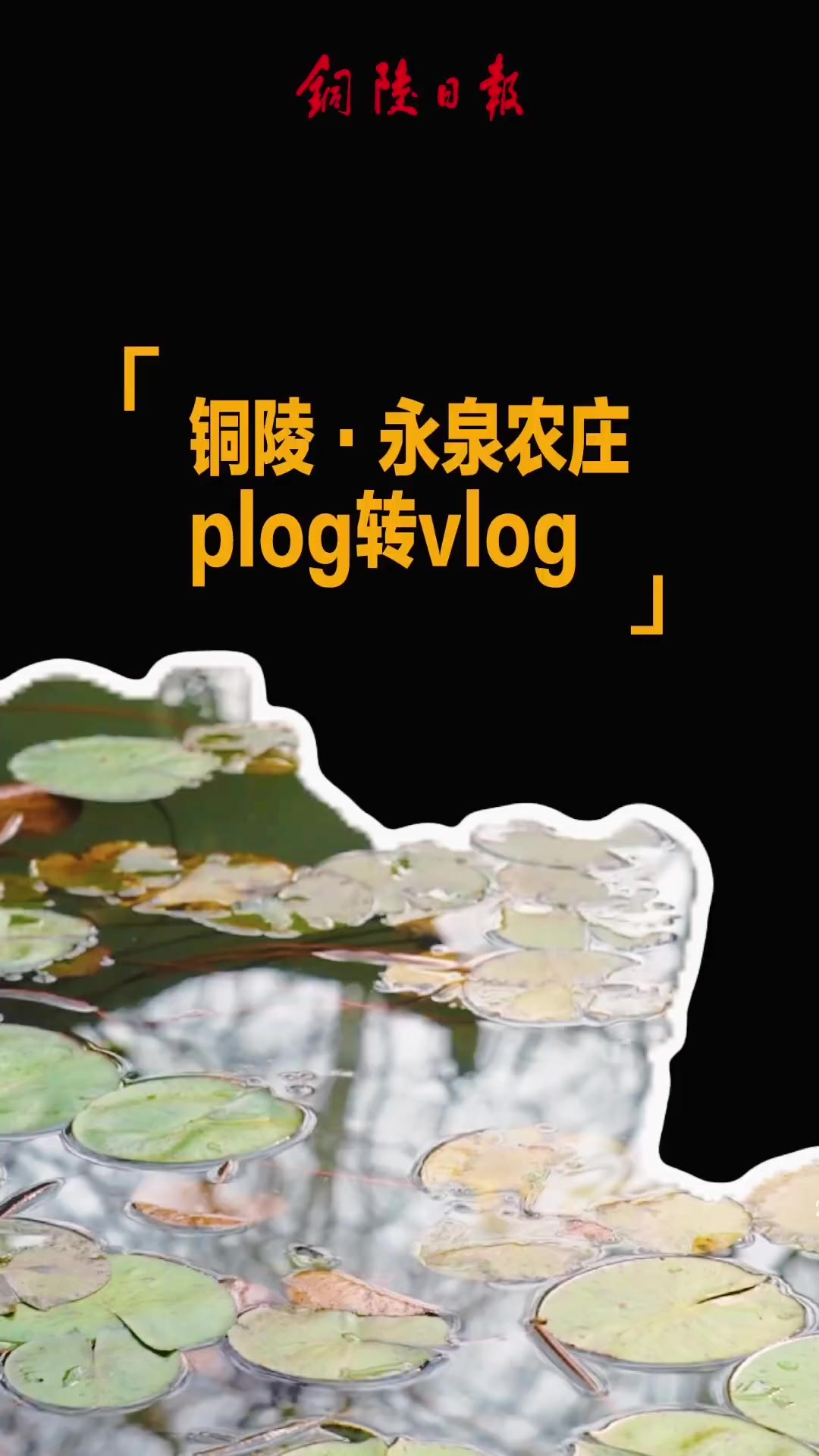 铜陵ⷮŠ永泉农庄度假区里的plog转vlog