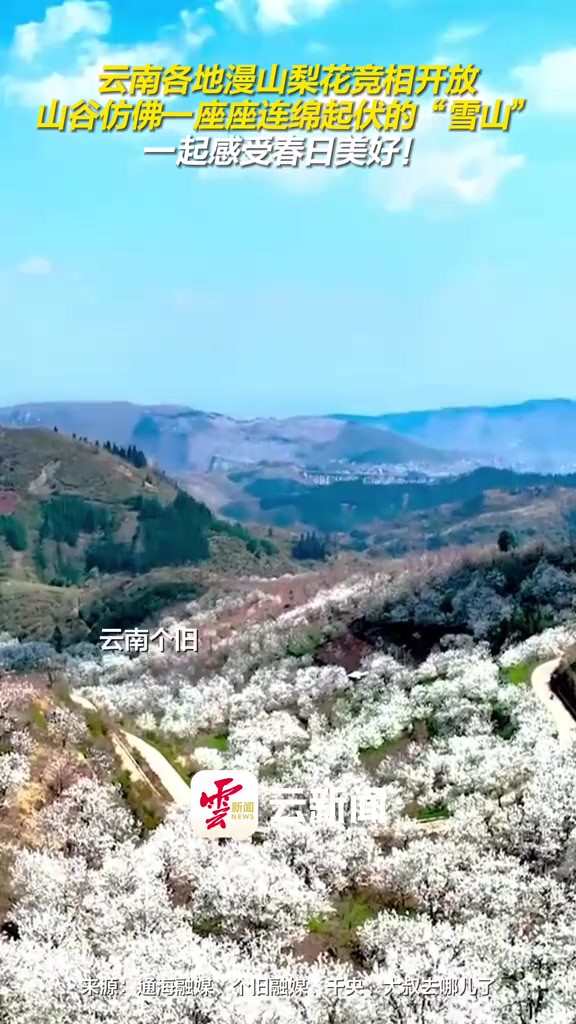 云南各地漫山梨花竞相开放,山谷仿佛一座座连绵起伏的“雪山”.一起感受春日美好!