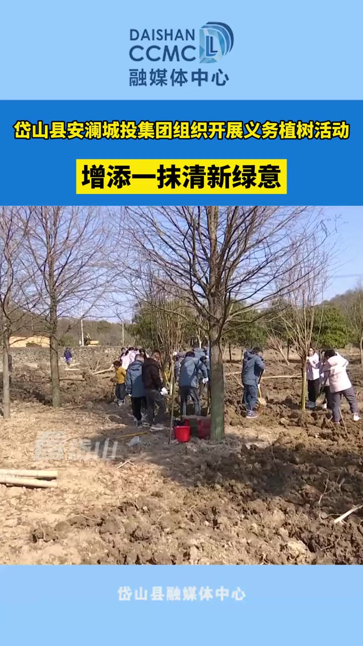 岱山县安澜城投集团组织开展义务植树活动